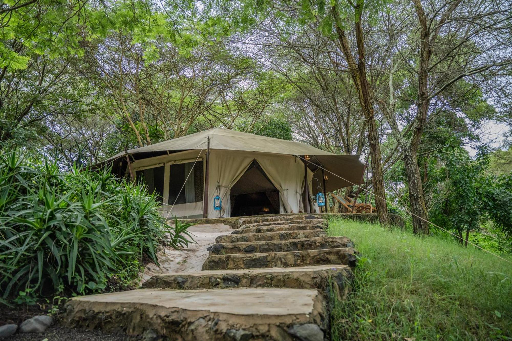 Dolly Farm & River Camp, Luxury Tents Usa River Exterior foto